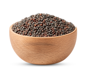 Bold mustard seeds for bulk export