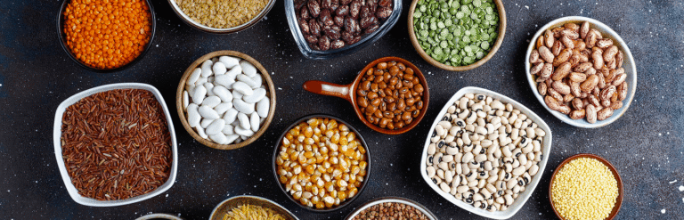 Indian pulses and beans supplied by OM EXIM Corporation